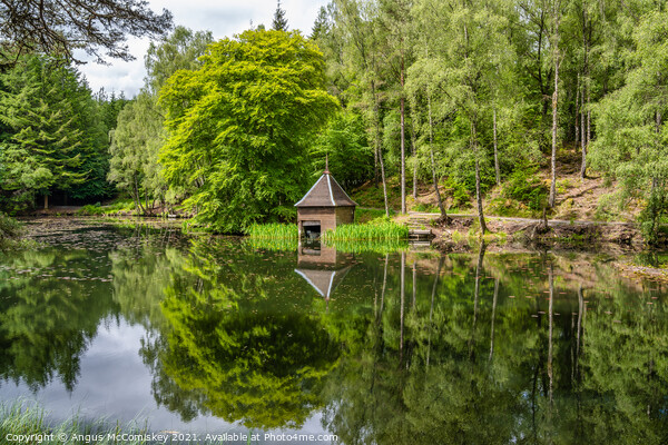 Boathouse on Loch Dunmore in Faskally Forest Picture Board by Angus McComiskey