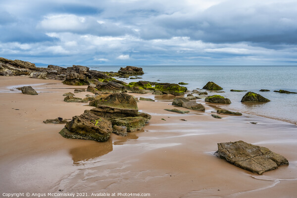Rocks on Dornoch beach in Sutherland, Scotland Picture Board by Angus McComiskey