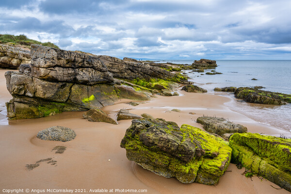 Outcrop of rock on Dornoch beach in Sutherland Picture Board by Angus McComiskey