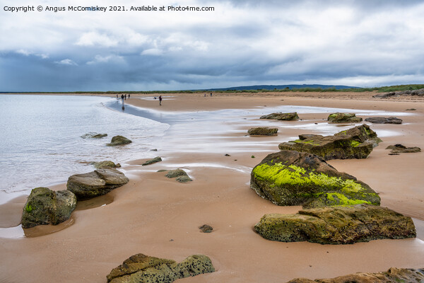 Dornoch beach looking south as the tide retreats Picture Board by Angus McComiskey