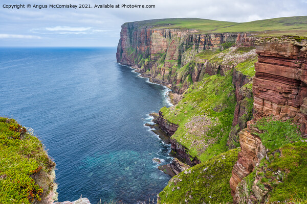Hoy coastline north of the Old Man, Orkney Picture Board by Angus McComiskey