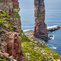Buy canvas prints of Old Man of Hoy, Orkney, Scotland #2 by Angus McComiskey