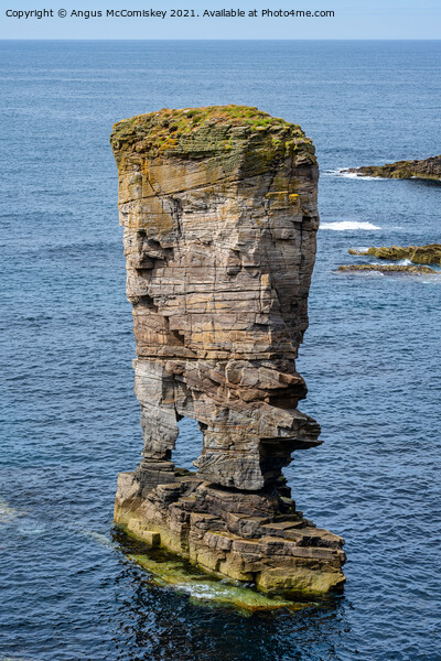 Yesnaby Castle north elevation, Mainland Orkney Picture Board by Angus McComiskey