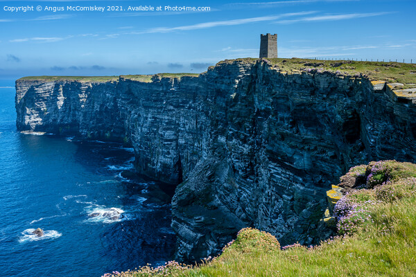 Marwick Head seabird colony, Mainland Orkney Picture Board by Angus McComiskey