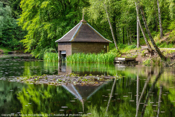 Loch Dunmore boathouse in Faskally Forest Picture Board by Angus McComiskey