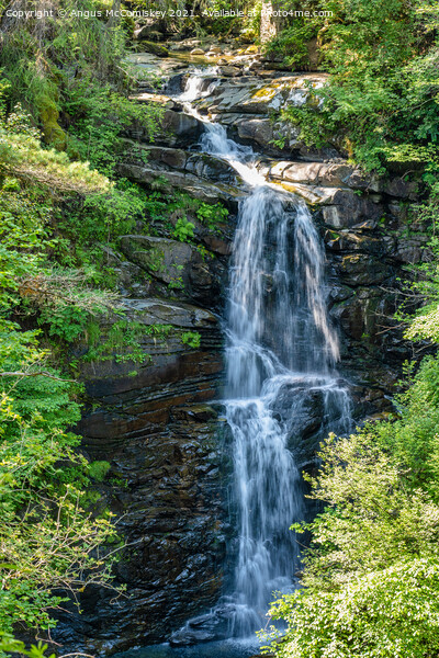 Upper Falls of Moness, Aberfeldy Picture Board by Angus McComiskey