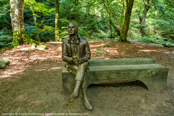 Statue of Robert Burns, The Birks of Aberfeldy Picture Board by Angus McComiskey