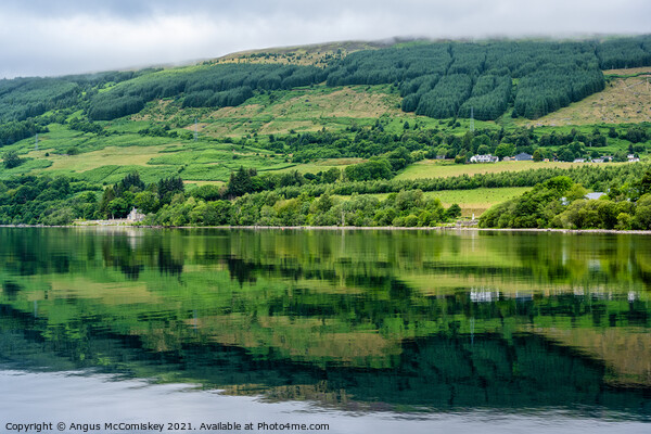 Reflections on Loch Tay, Perthshire Picture Board by Angus McComiskey