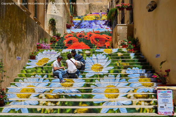 Flower Festival in Noto, Sicily Picture Board by Angus McComiskey