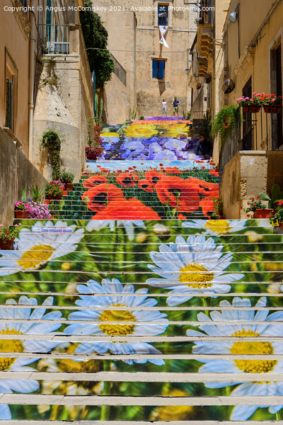 Carpet of Flowers in Noto, Sicily Picture Board by Angus McComiskey