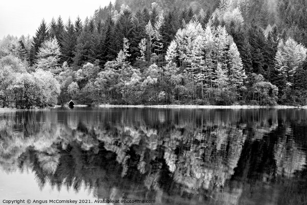 Boathouse on Loch Chon mono Picture Board by Angus McComiskey