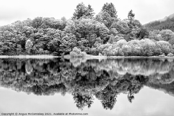 Loch Chon reflections mono Picture Board by Angus McComiskey