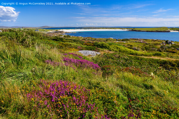 Dog's Bay near Roundstone, County Galway, Ireland Picture Board by Angus McComiskey