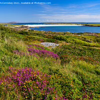 Buy canvas prints of Dog's Bay near Roundstone, County Galway, Ireland by Angus McComiskey