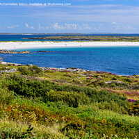 Buy canvas prints of White sands at Dog's Bay, County Galway, Ireland by Angus McComiskey