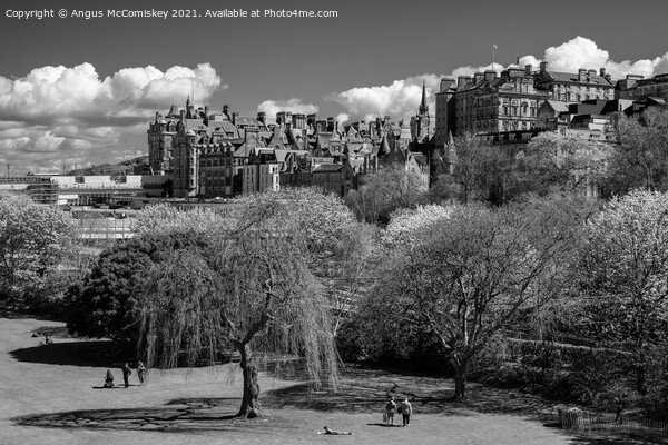 Princes Street Gardens and Edinburgh Old Town mono Picture Board by Angus McComiskey