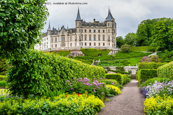 Garden at Dunrobin Castle, Sutherland, Scotland Picture Board by Angus McComiskey