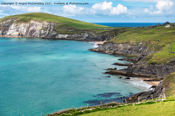 Rugged coastline at Dunmore Head, Dingle Peninsula Picture Board by Angus McComiskey