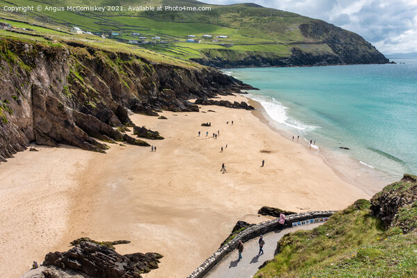 Coumeenoole Beach on the Dingle Peninsula Picture Board by Angus McComiskey