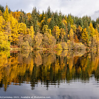 Buy canvas prints of Lochan Spling autumn colours by Angus McComiskey
