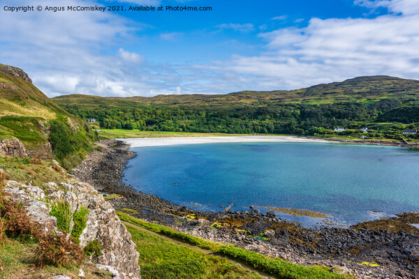 Calgary Bay, Isle of Mull Picture Board by Angus McComiskey