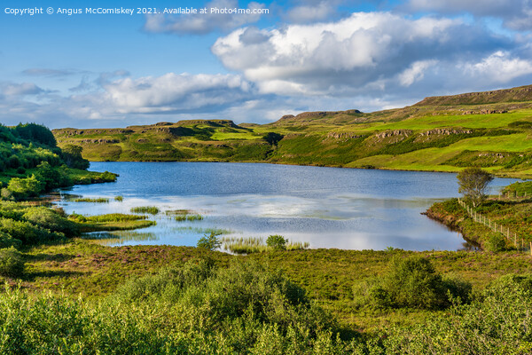 Loch an Torr, Isle of Mull Picture Board by Angus McComiskey