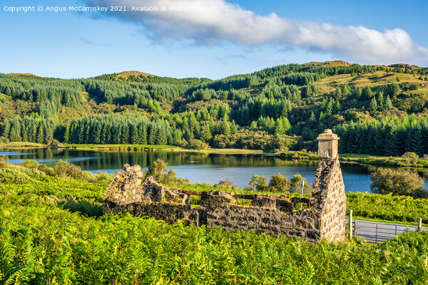 Ruined cottage with stunning view Picture Board by Angus McComiskey
