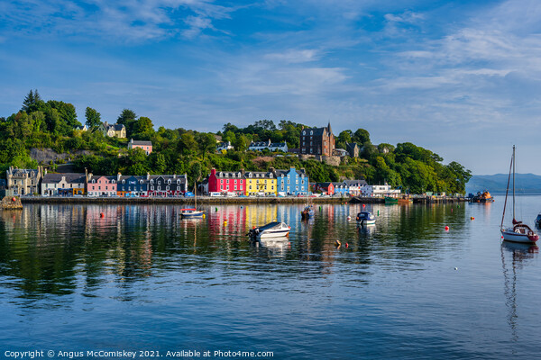 Tobermory reflections, Isle of Mull Picture Board by Angus McComiskey