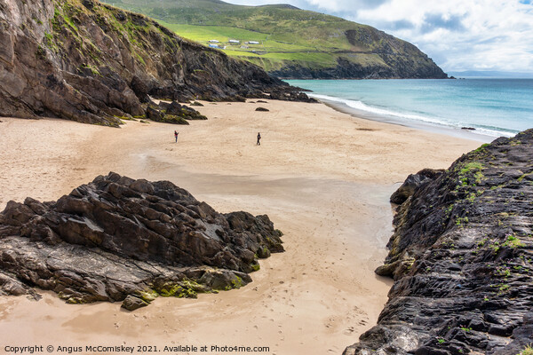 Coumeenoole Beach on the Dingle Peninsula Picture Board by Angus McComiskey