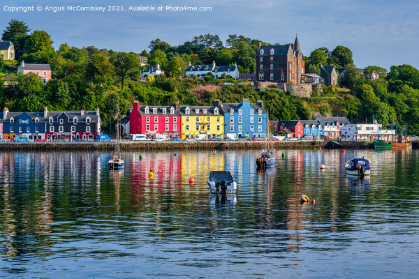 Boats in the bay, Tobermory, Isle of Mull Picture Board by Angus McComiskey