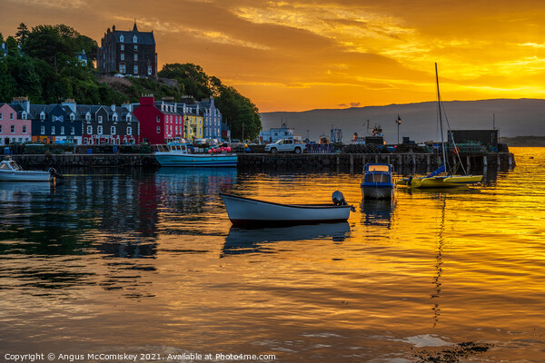 Sunrise at Fisherman’s Pier in Tobermory Picture Board by Angus McComiskey