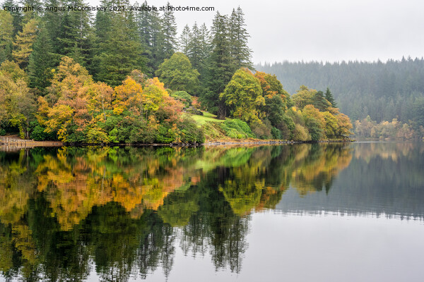 Misty autumn reflections on Loch Ard, Trossachs Picture Board by Angus McComiskey
