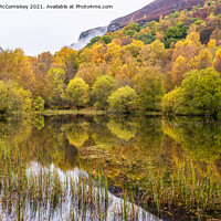 Buy canvas prints of Autumn colours on forest park pond, Aberfoyle by Angus McComiskey