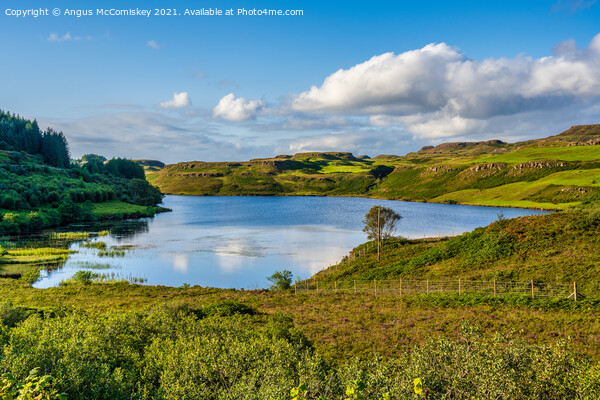 Picturesque Loch an Torr, Isle of Mull Picture Board by Angus McComiskey