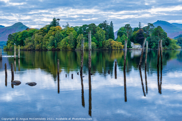 Derwent Isle and old jetty piles  Picture Board by Angus McComiskey