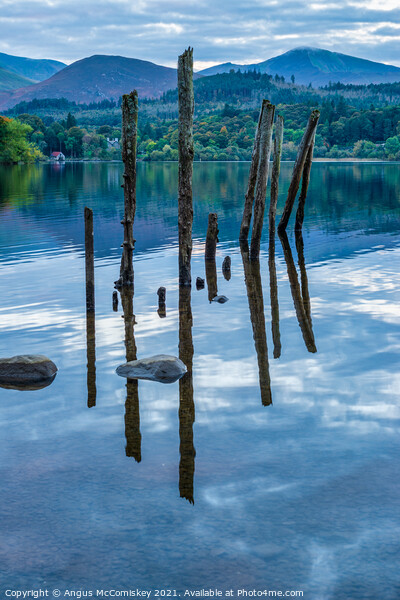 Old jetty piles on Derwentwater Picture Board by Angus McComiskey