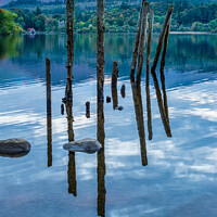Buy canvas prints of Old jetty piles on Derwentwater by Angus McComiskey