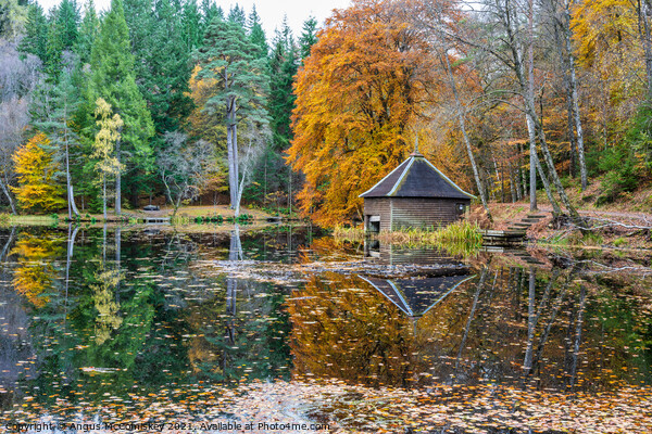 Loch Dunmore boathouse, autumn colours Picture Board by Angus McComiskey