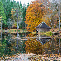 Buy canvas prints of Loch Dunmore boathouse, autumn colours by Angus McComiskey