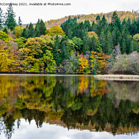 Buy canvas prints of Autumn colours on Loch Faskally, Perthshire by Angus McComiskey