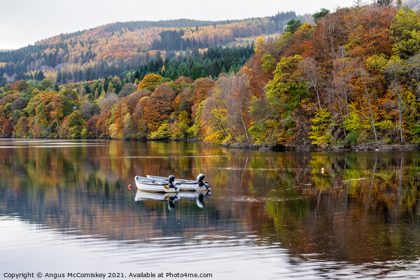 Moored boats on Loch Faskally, Perthshire Picture Board by Angus McComiskey