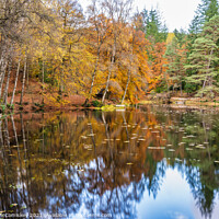Buy canvas prints of Autumn colours on Loch Dunmore, Faskally Forest by Angus McComiskey