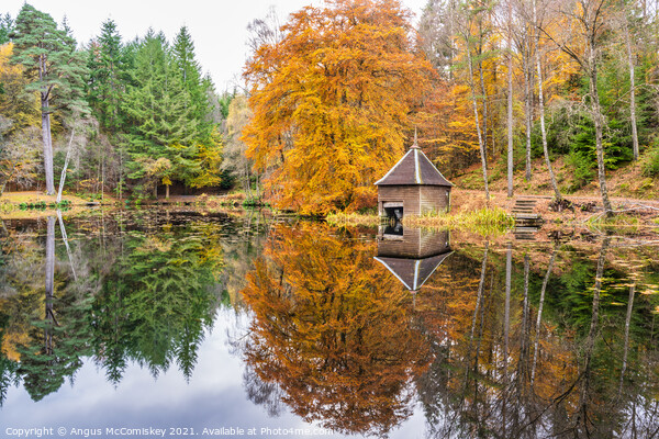 Autumn reflections on Loch Dunmore Picture Board by Angus McComiskey