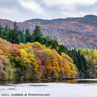 Buy canvas prints of Panoramic view of autumn colours on Loch Faskally by Angus McComiskey