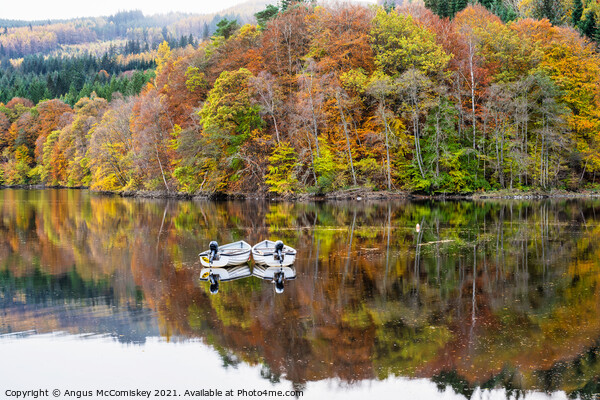 Boats moored on Loch Faskally, Perthshire Picture Board by Angus McComiskey