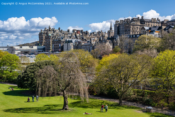 Princes Street Gardens and Edinburgh Old Town Picture Board by Angus McComiskey