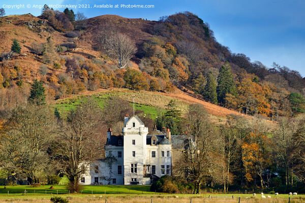 New Castle Lachlan on the Cowal Peninsula, Argyll Picture Board by Angus McComiskey