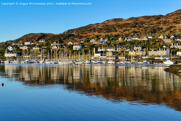 Tarbert reflections on Loch Fyne, Argyll Picture Board by Angus McComiskey