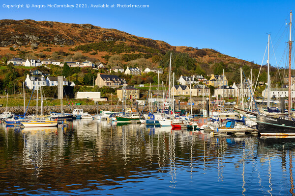 Yachts in Tarbert marina on Loch Fyne, Argyll Picture Board by Angus McComiskey