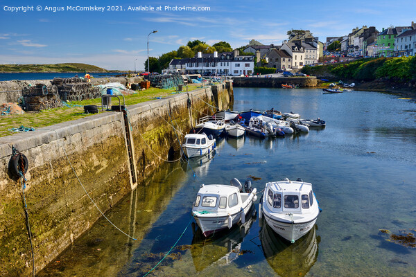 Boats tied up in Roundstone harbour, County Galway Picture Board by Angus McComiskey
